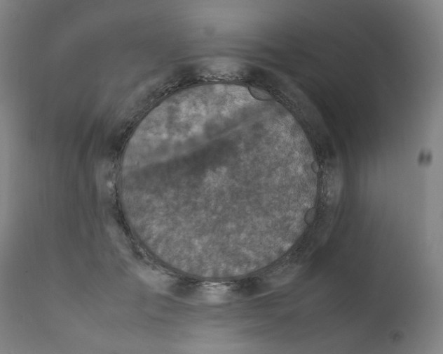 X0000112210701200909041341