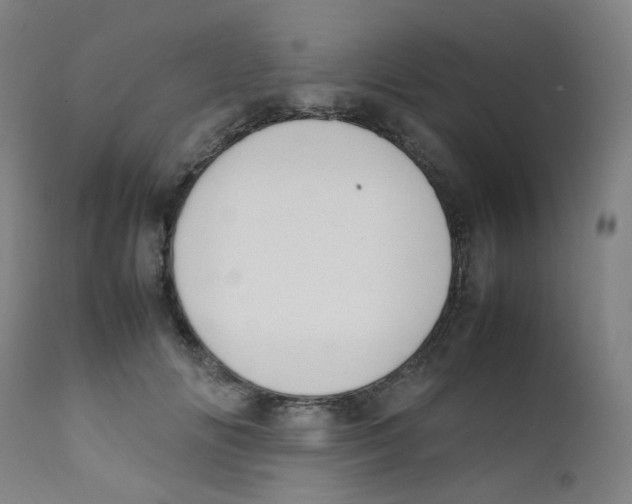 X0000112210702200909041341