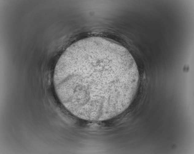 X0000112210703200909041341