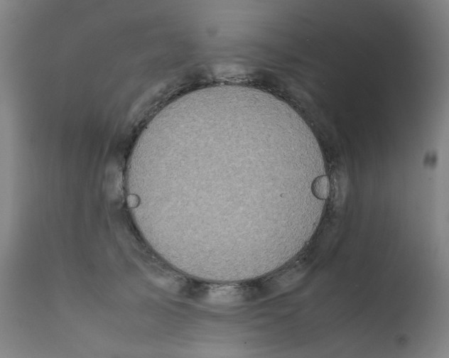 X0000112210705200909041341
