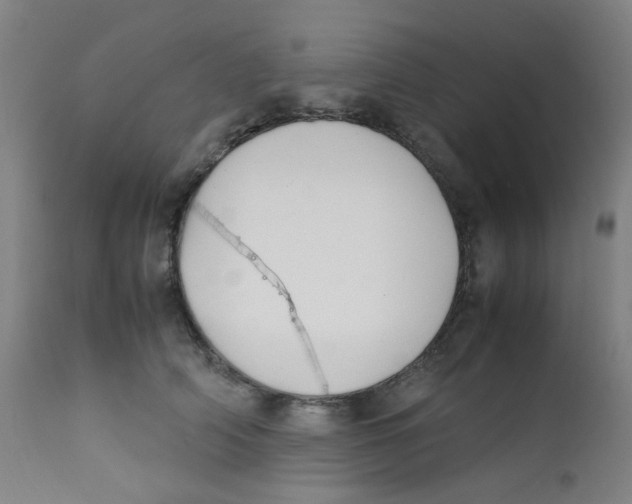 X0000112210706200909041341