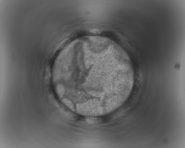 X0000112210707200909041341