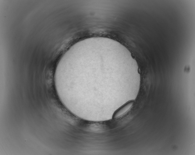 X0000112210708200909041341