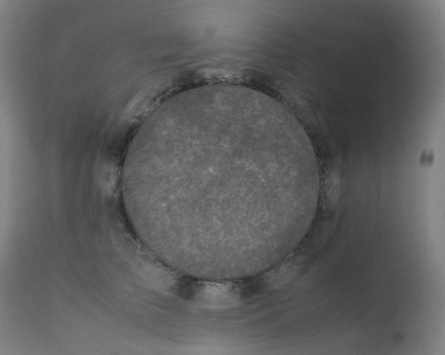 X0000112210709200909041341