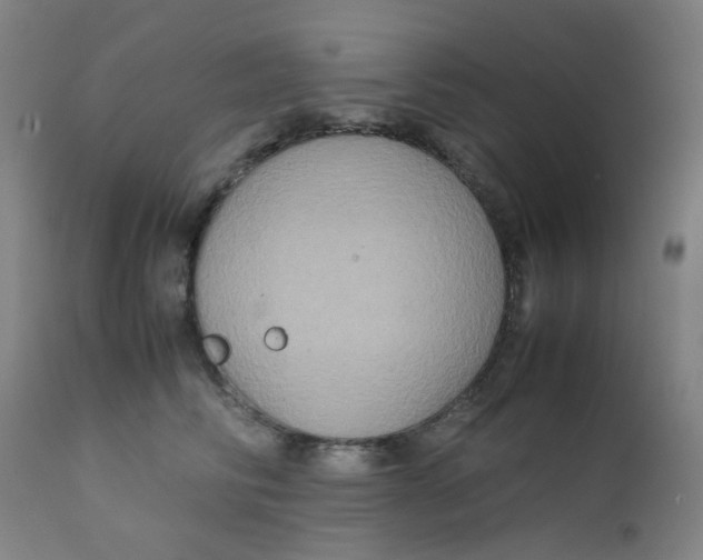 X0000112210710200909041341