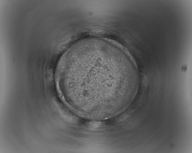 X0000112210711200909041341