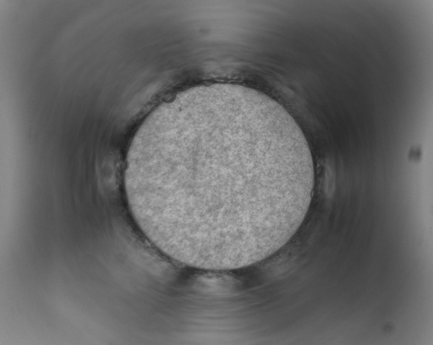 X0000112210712200909041341