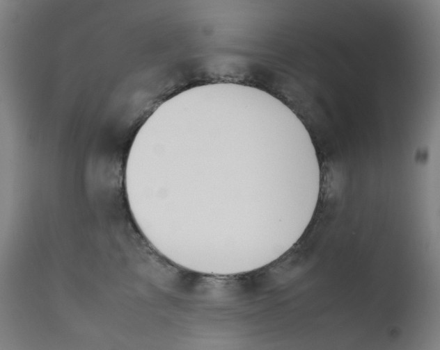 X0000112210713200909041341