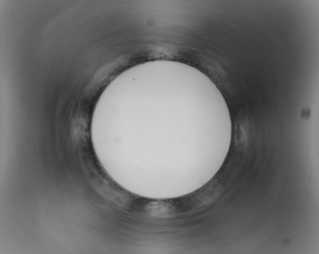 X0000112210714200909041341