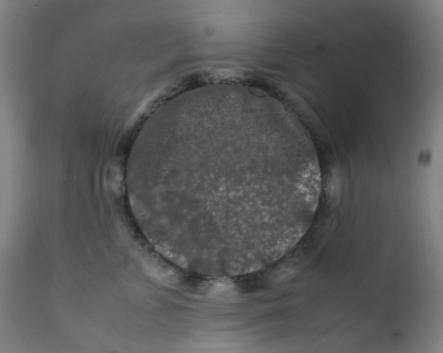 X0000112210715200909041341
