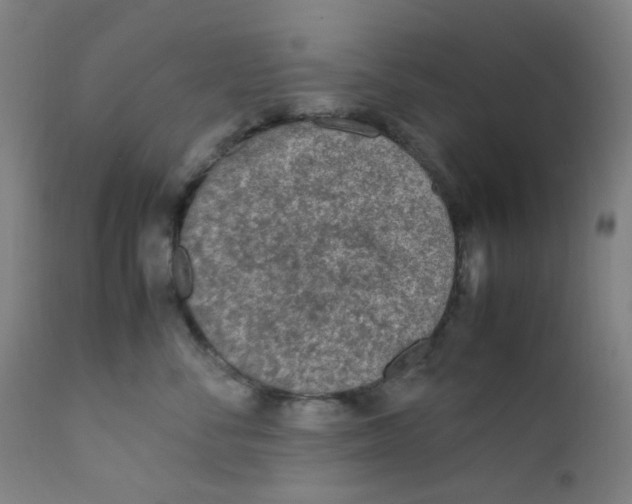 X0000112210716200909041341