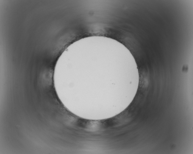 X0000112210717200909041341