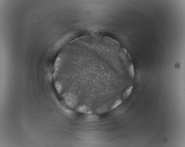 X0000112210719200909041341