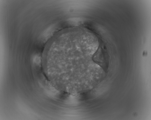 X0000112210720200909041341