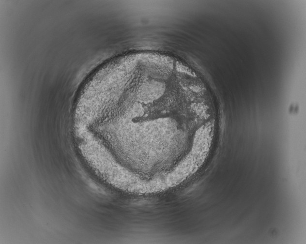 X0000112210721200909041340