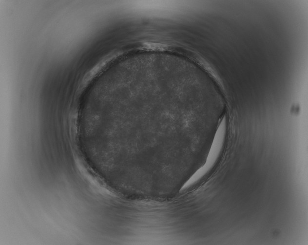X0000112210722200909041340