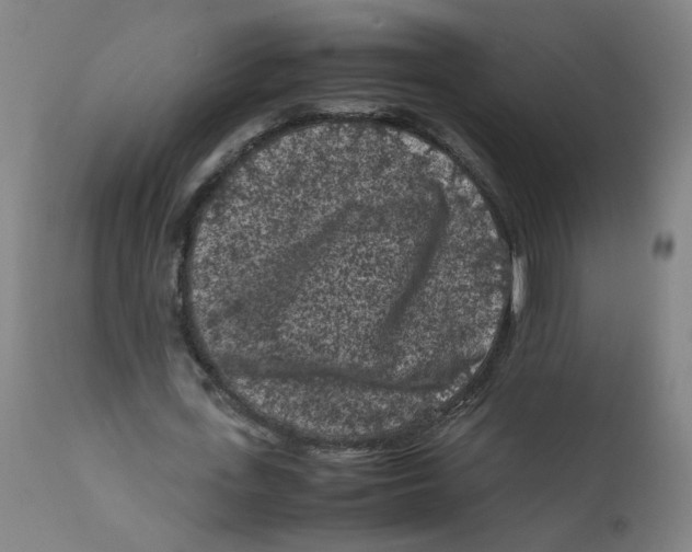 X0000112210723200909041340