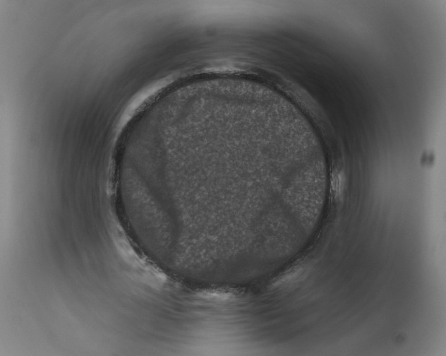 X0000112210724200909041340