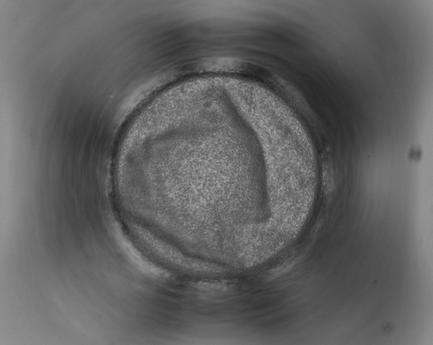 X0000112210725200909041340