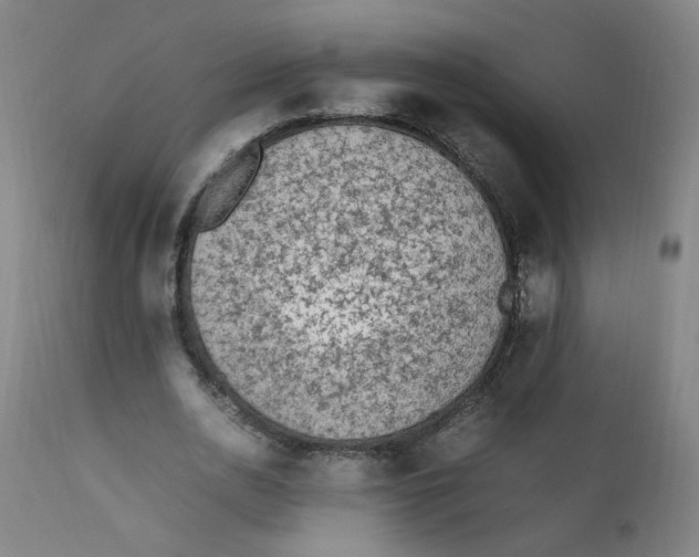 X0000112210726200909041340