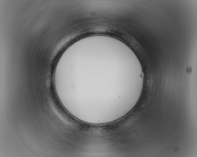 X0000112210728200909041340
