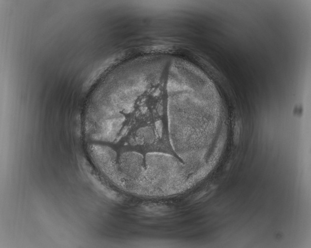 X0000112210729200909041340
