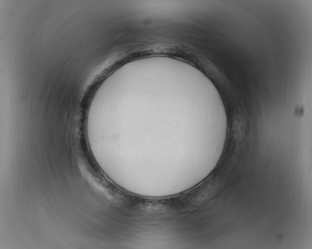X0000112210730200909041340