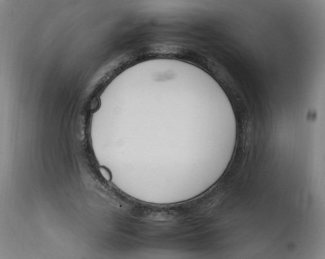 X0000112210731200909041340