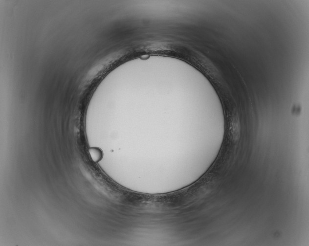 X0000112210732200909041340