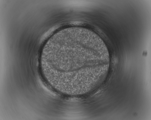 X0000112210734200909041340