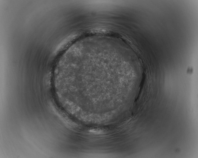 X0000112210735200909041340