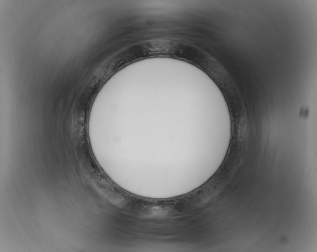 X0000112210737200909041340