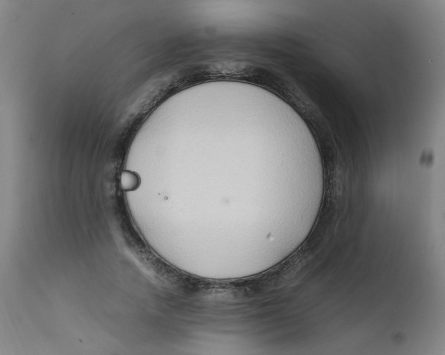 X0000112210738200909041340
