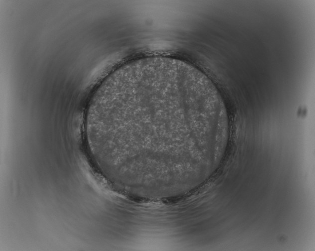 X0000112210742200909041340