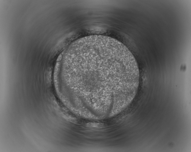 X0000112210745200909041340