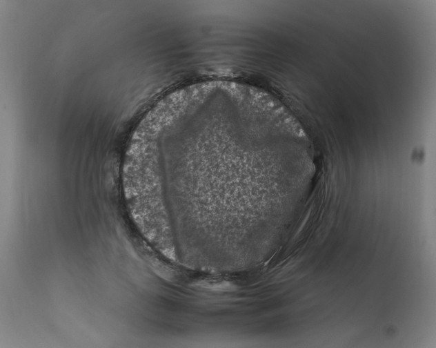 X0000112210747200909041341