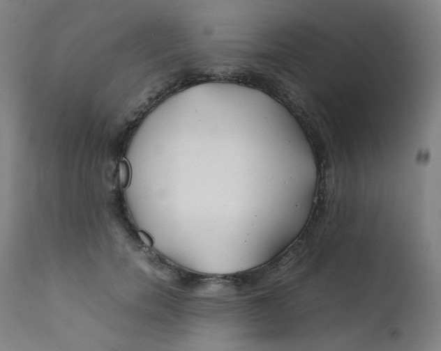 X0000112210750200909041341