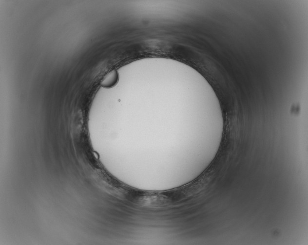X0000112210752200909041341