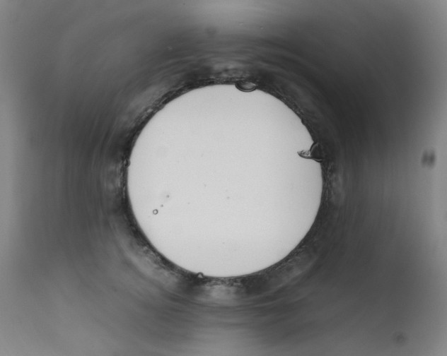 X0000112210756200909041341