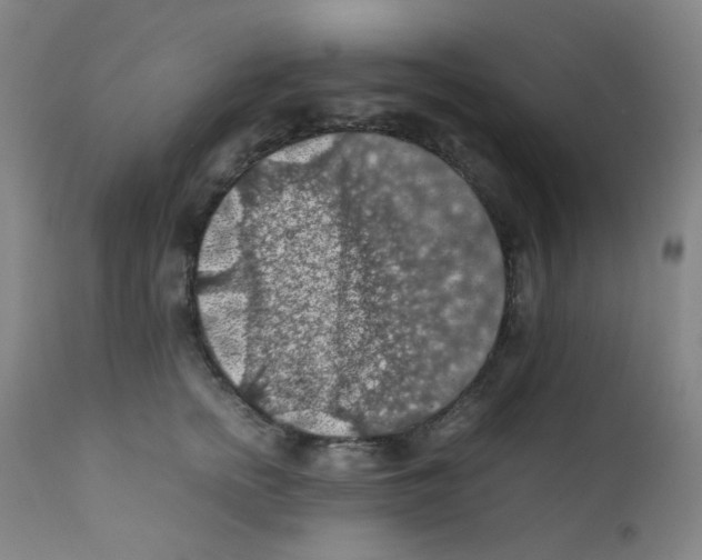 X0000112210758200909041341