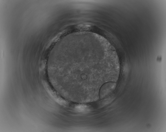 X0000112210759200909041341