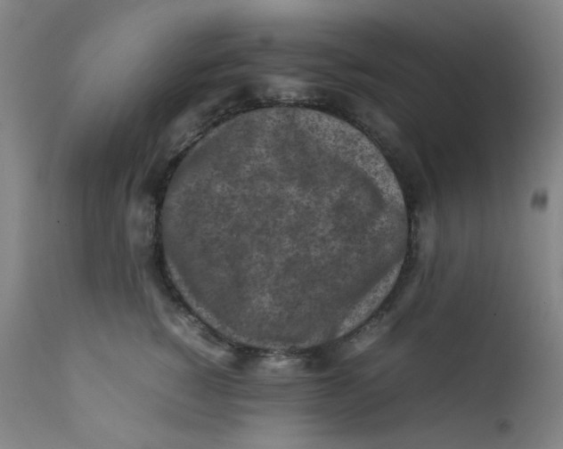 X0000112210760200909041341