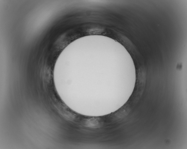 X0000112210761200909041341