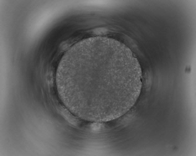 X0000112210762200909041341