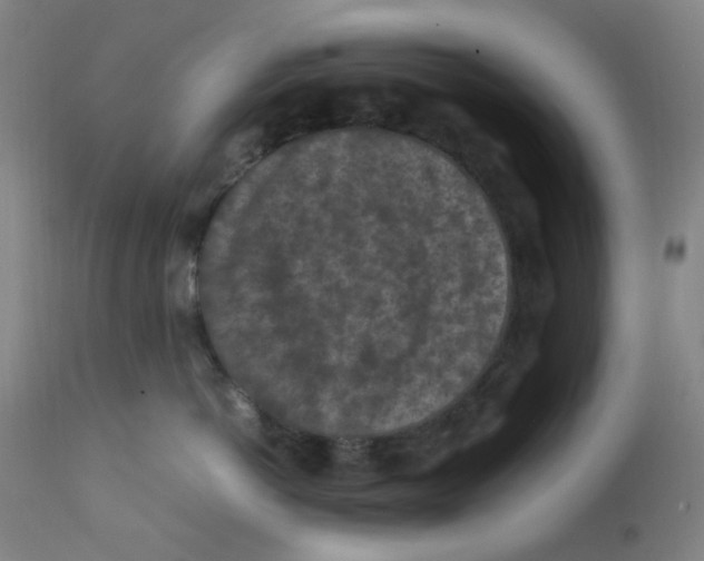 X0000112210766200909041341