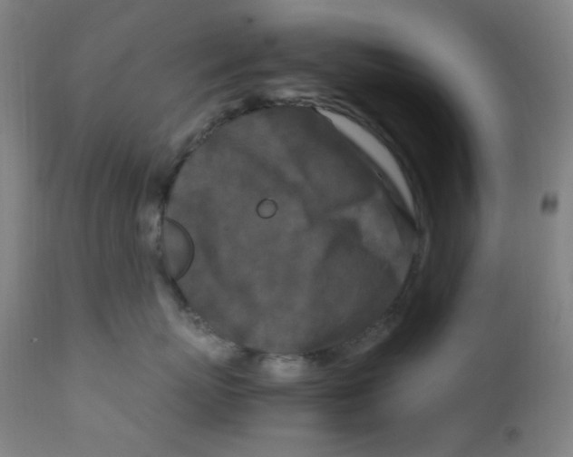 X0000112210767200909041341