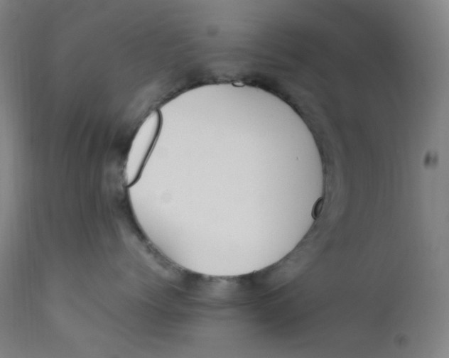 X0000112210768200909041341