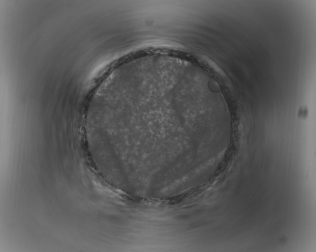 X0000112210775200909041340