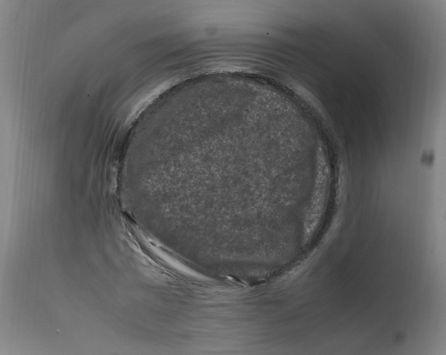 X0000112210777200909041340
