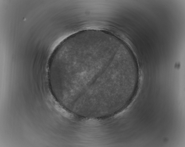 X0000112210779200909041340